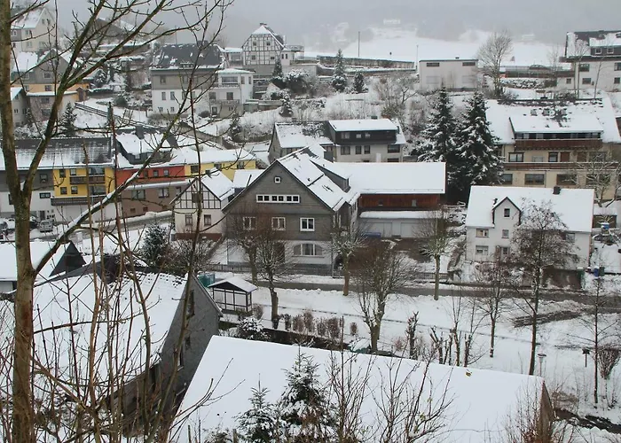 Landhaus Alpina Виллинген